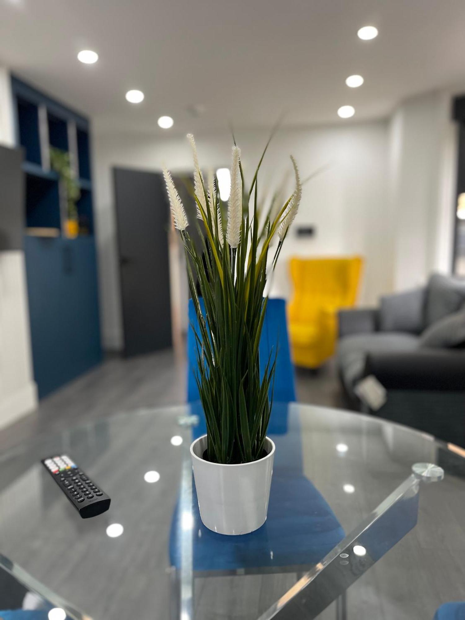 Luxury In Vibrant Area Homestay London